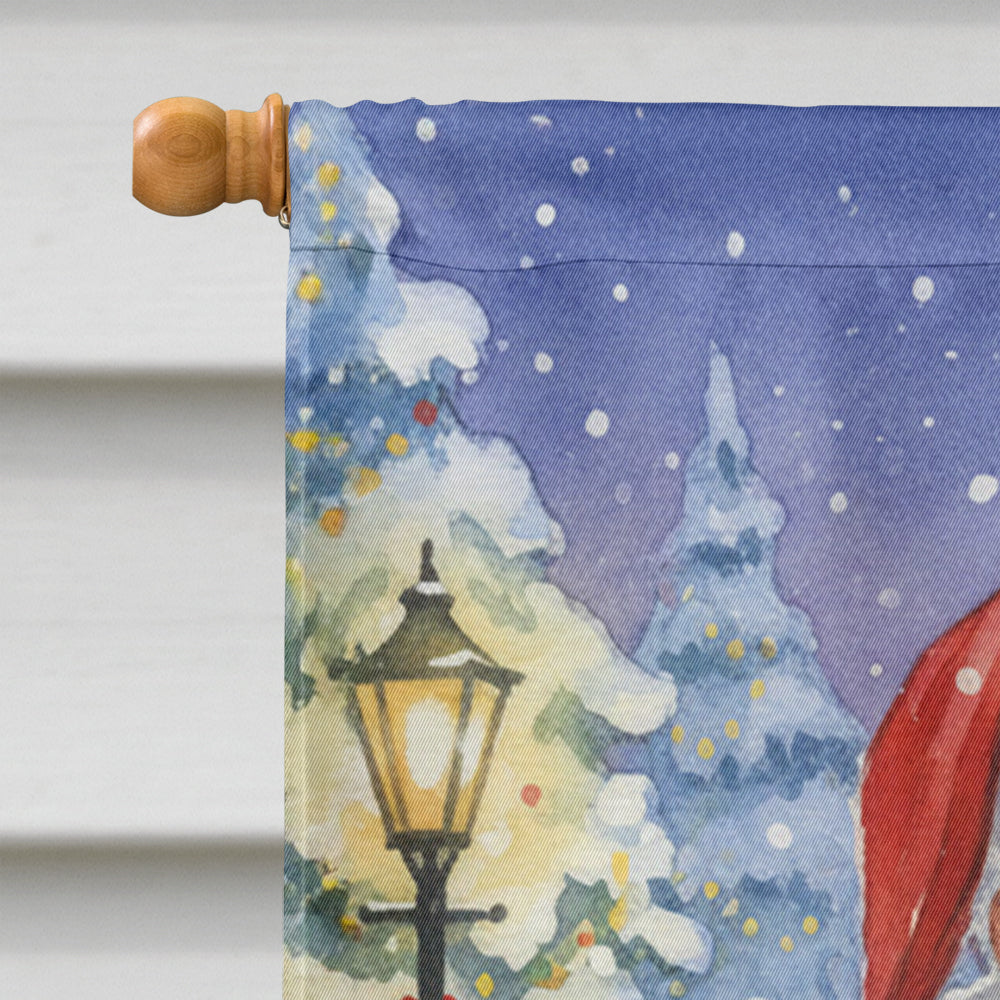 Manx Cat with Santa Claus House Flag 28x40 Porch Sleeve Pole Decorative Outside Yard Banner Artwork Wall Hanging, Polyester