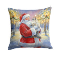 Ragdoll Blue Point Cat with Santa Claus Decorative Throw Pillow 14x14 Indoor Outdoor Accent Cushion, Fabric Cover with Insert for Sofa, Bed, Porch & Living Room
