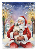 Ragdoll Seal Point with Santa Claus Garden Flag Mailbox Decorative Yard Banner Outside Patio Artwork for Flower Beds, Garden Size, Multicolor