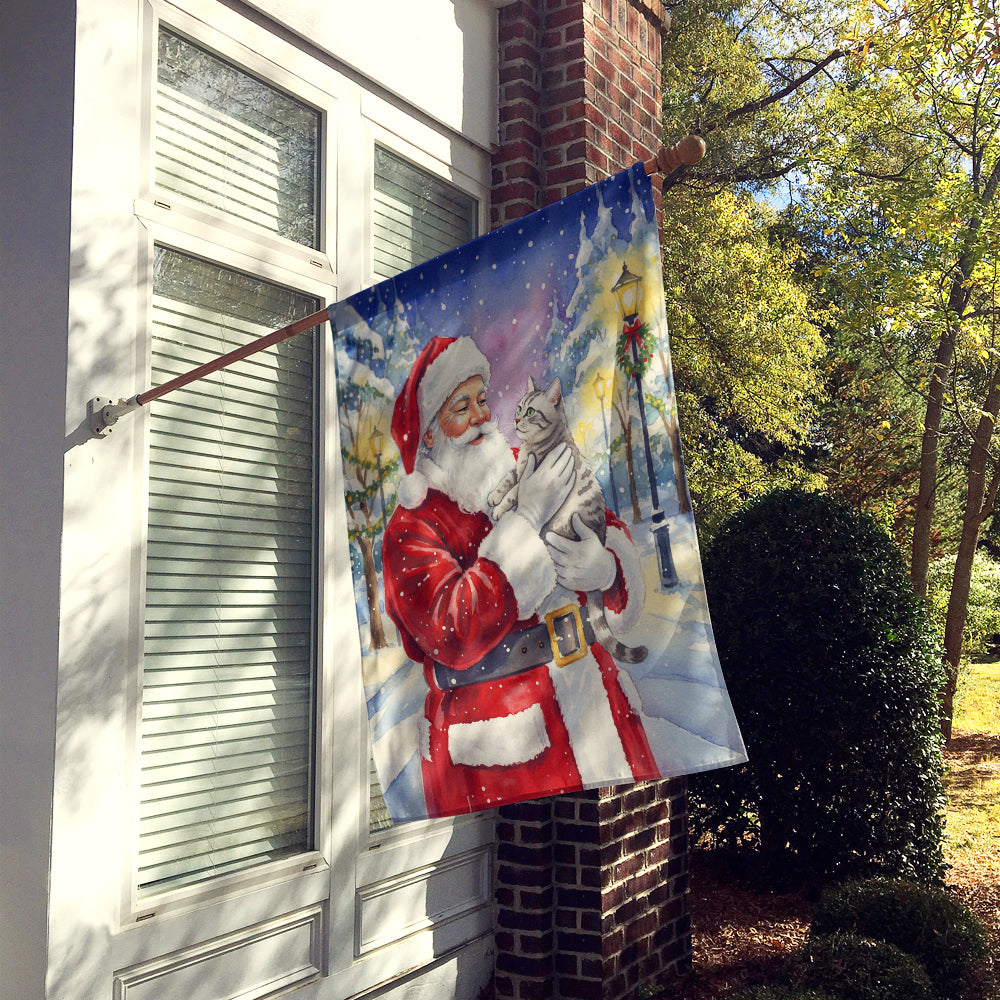 Silver Classic Tabby Cat with Santa Claus House Flag 28x40 Porch Sleeve Pole Decorative Outside Yard Banner Artwork Wall Hanging, Polyester