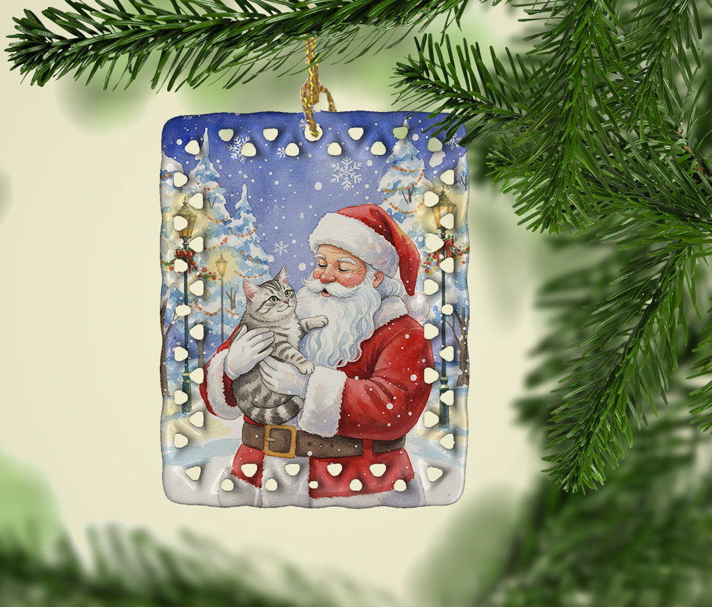 Silver Mackerel Tabby Cat with Santa Claus Porcelain Ornament Christmas Tree Hanging Decorations for Home Christmas Holiday, Rectangle, Gift, Multicolor