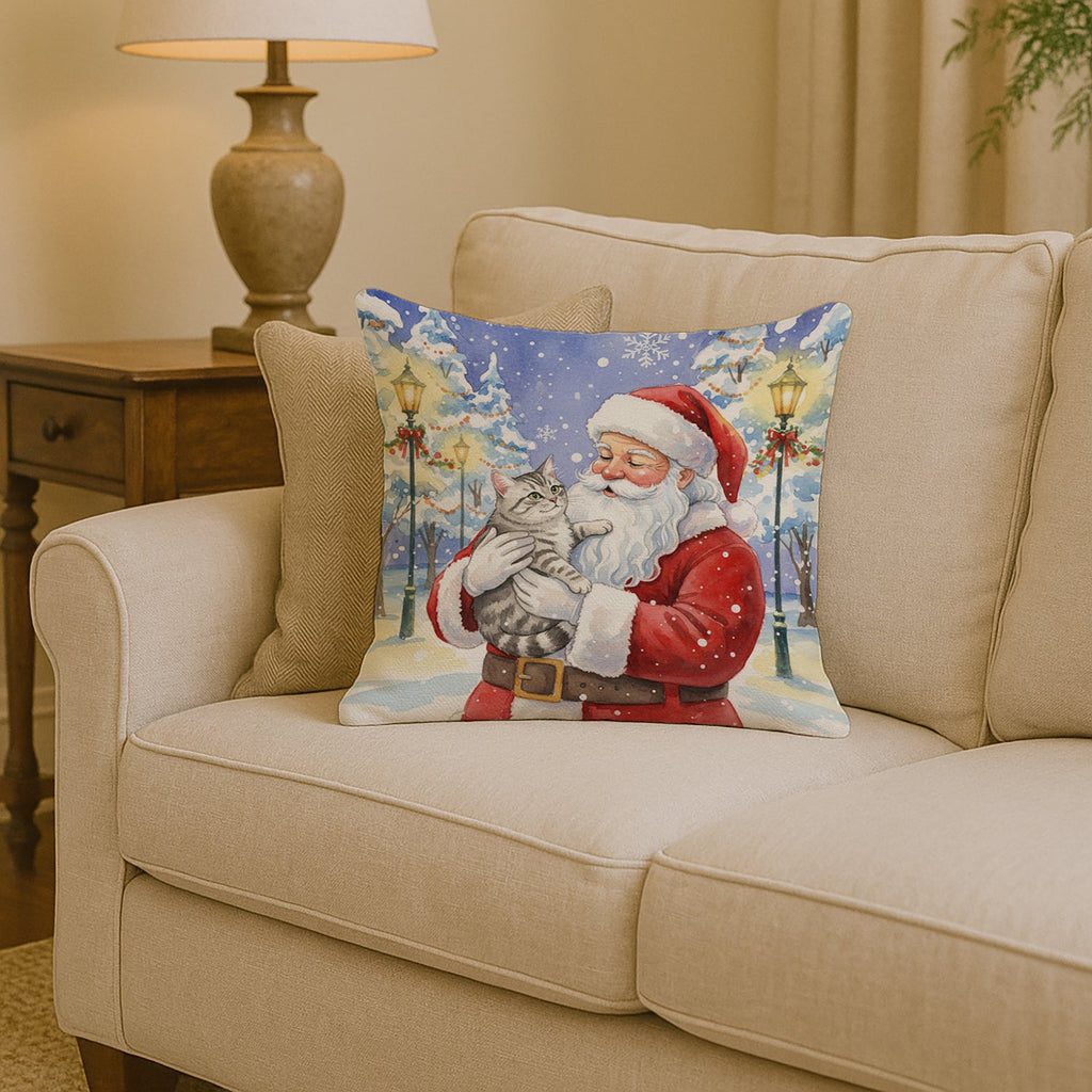 Silver Mackerel Tabby Cat with Santa Claus Decorative Throw Pillow 14x14 Indoor Outdoor Accent Cushion, Fabric Cover with Insert for Sofa, Bed, Porch & Living Room