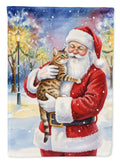 Spotted Tabby Brown Cat with Santa Claus House Flag 28x40 Porch Sleeve Pole Decorative Outside Yard Banner Artwork Wall Hanging, Polyester