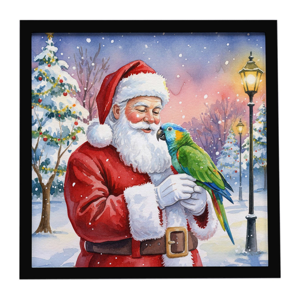 Amazon Parrot with Santa Claus Framed Metal Print Bathroom, Kitchen, Office, Home Decor Wall Art Ready to Hang, Square, 8X8
