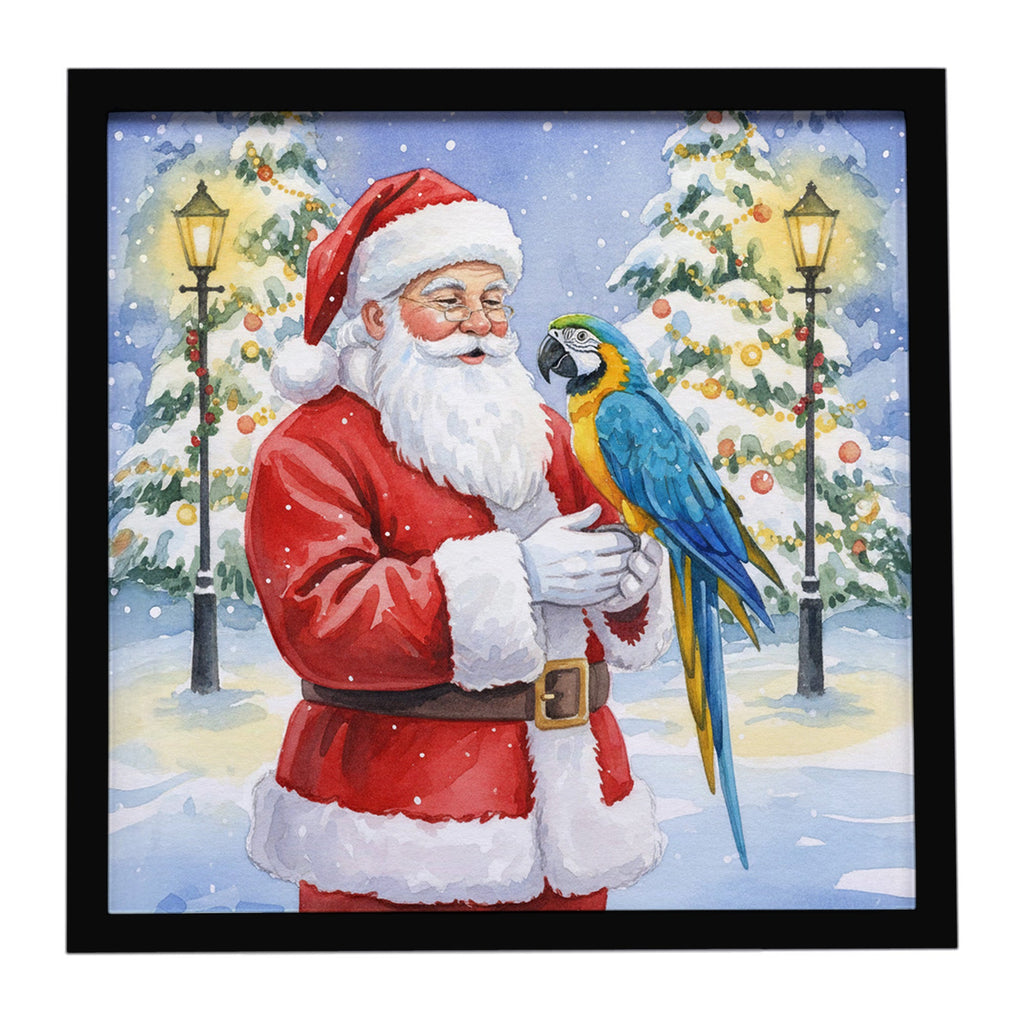 Blue and Gold Macaw Parrot with Santa Claus Framed Metal Print Bathroom, Kitchen, Office, Home Decor Wall Art Ready to Hang, Square, 8X8