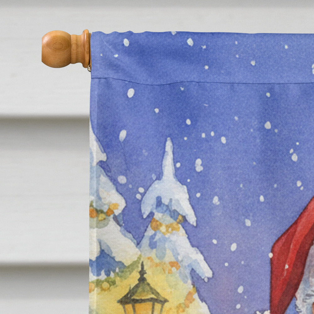 Eastern Rosella with Santa Claus House Flag 28x40 Porch Sleeve Pole Decorative Outside Yard Banner Artwork Wall Hanging, Polyester