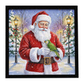 Green Quaker Parrot with Santa Claus Framed Metal Print Bathroom, Kitchen, Office, Home Decor Wall Art Ready to Hang, Square, 8X8