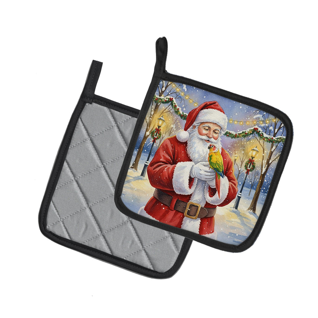 Green Cheeked Conure Parrot with Santa Claus Pot Holder Set of 2 Heat Resistant Quilted Hot Pads 7.5 x 7.5 Inch, Insulated Kitchen Trivets for Cooking & Baking