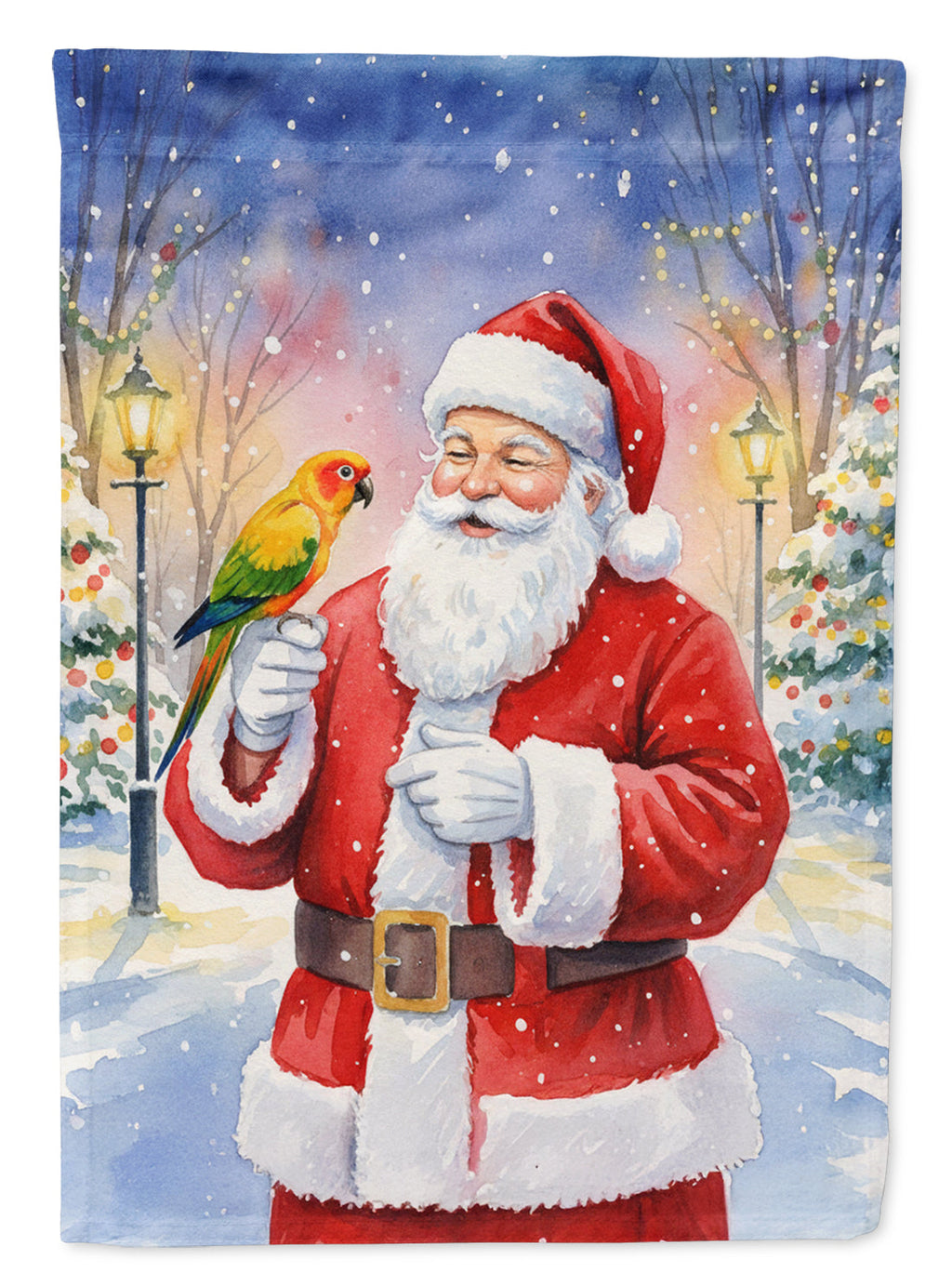 Jenday Conure with Santa Claus House Flag 28x40 Porch Sleeve Pole Decorative Outside Yard Banner Artwork Wall Hanging, Polyester
