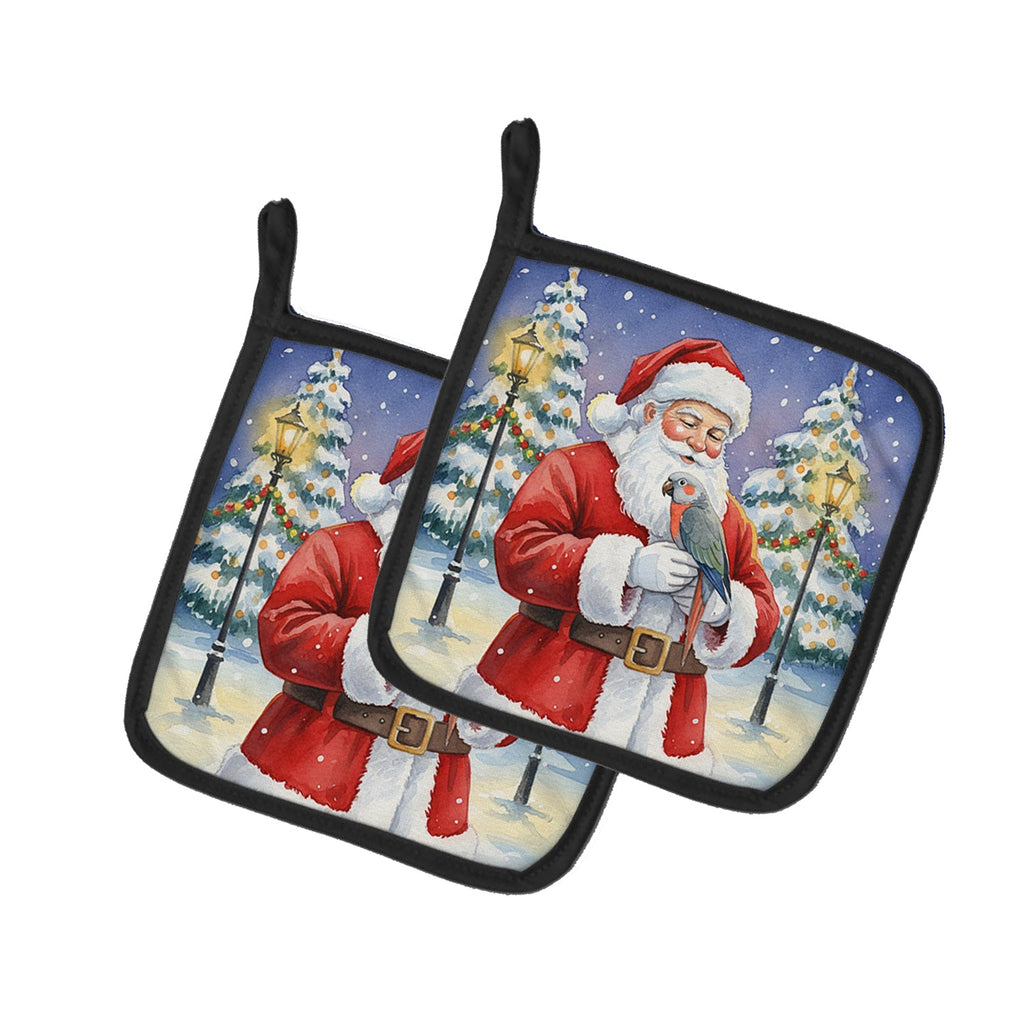 Red Bellied Parrot with Santa Claus Pot Holder Set of 2 Heat Resistant Quilted Hot Pads 7.5 x 7.5 Inch, Insulated Kitchen Trivets for Cooking & Baking