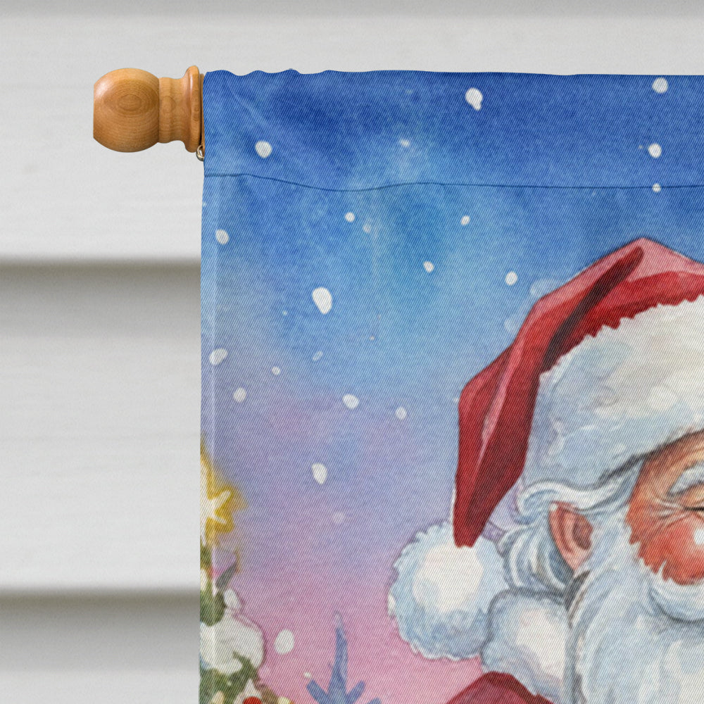 Roadrunner with Santa Claus House Flag 28x40 Porch Sleeve Pole Decorative Outside Yard Banner Artwork Wall Hanging, Polyester