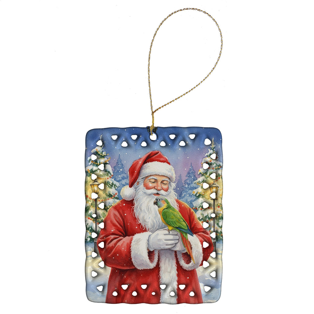 Senegal Parrot with Santa Claus Porcelain Ornament Christmas Tree Hanging Decorations for Home Christmas Holiday, Rectangle, Gift, Multicolor