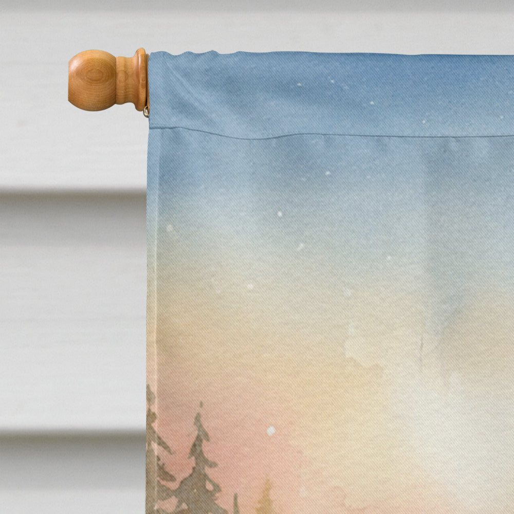 Fishing Santa Claus with Largemouth Bass Christmas House Flag 28x40 Porch Sleeve Pole Decorative Outside Yard Banner Artwork Wall Hanging, Polyester