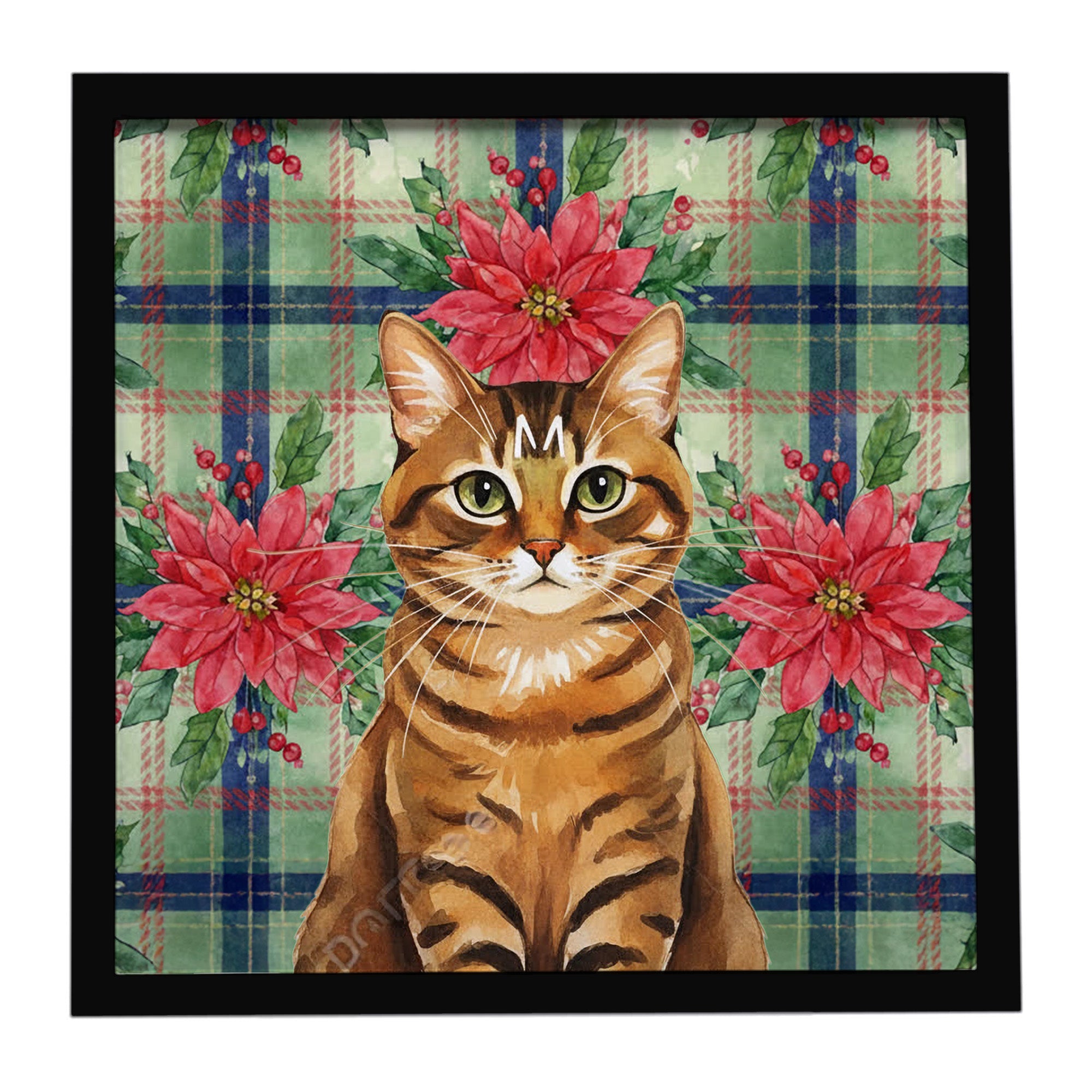Classic Tabby Brown Cat with Poinsettias Framed Metal Print Bathroom, Kitchen, Office, Home Decor Wall Art Ready to Hang, Square, 8X8