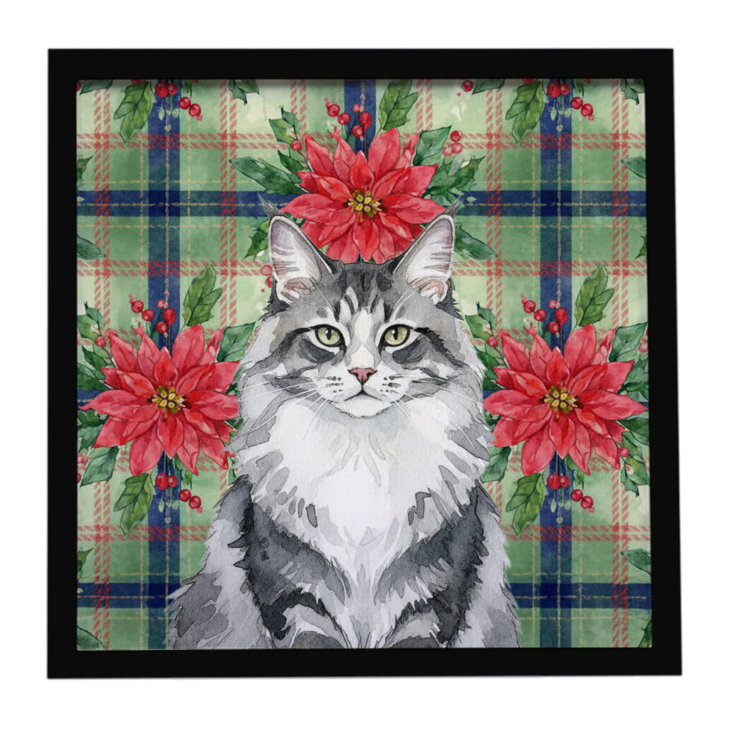 Norwegian Forest Cat Gray and White Cat with Poinsettias Framed Metal Print Bathroom, Kitchen, Office, Home Decor Wall Art Ready to Hang, Square, 8X8