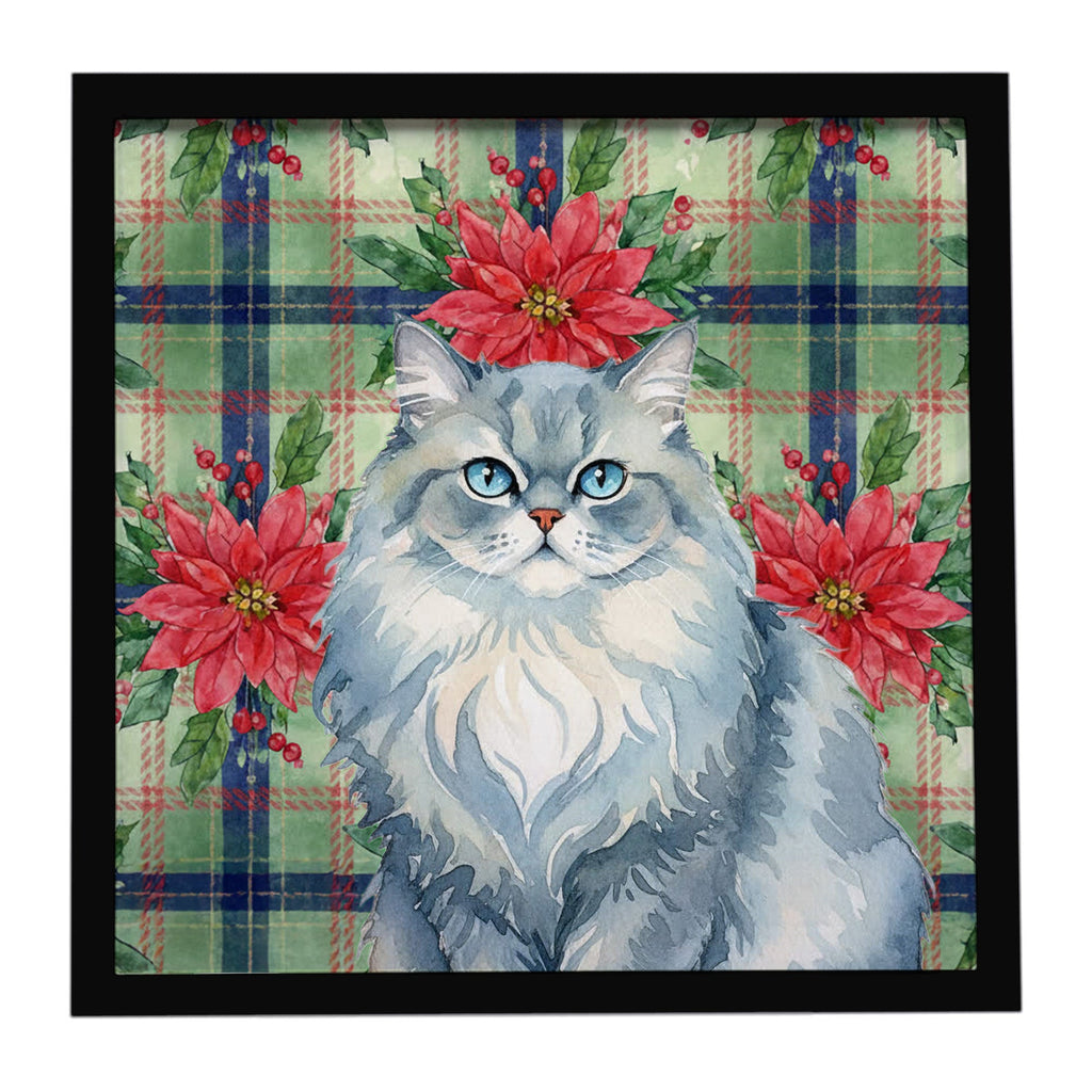 Persian Blue Cat with Poinsettias Framed Metal Print Bathroom, Kitchen, Office, Home Decor Wall Art Ready to Hang, Square, 8X8
