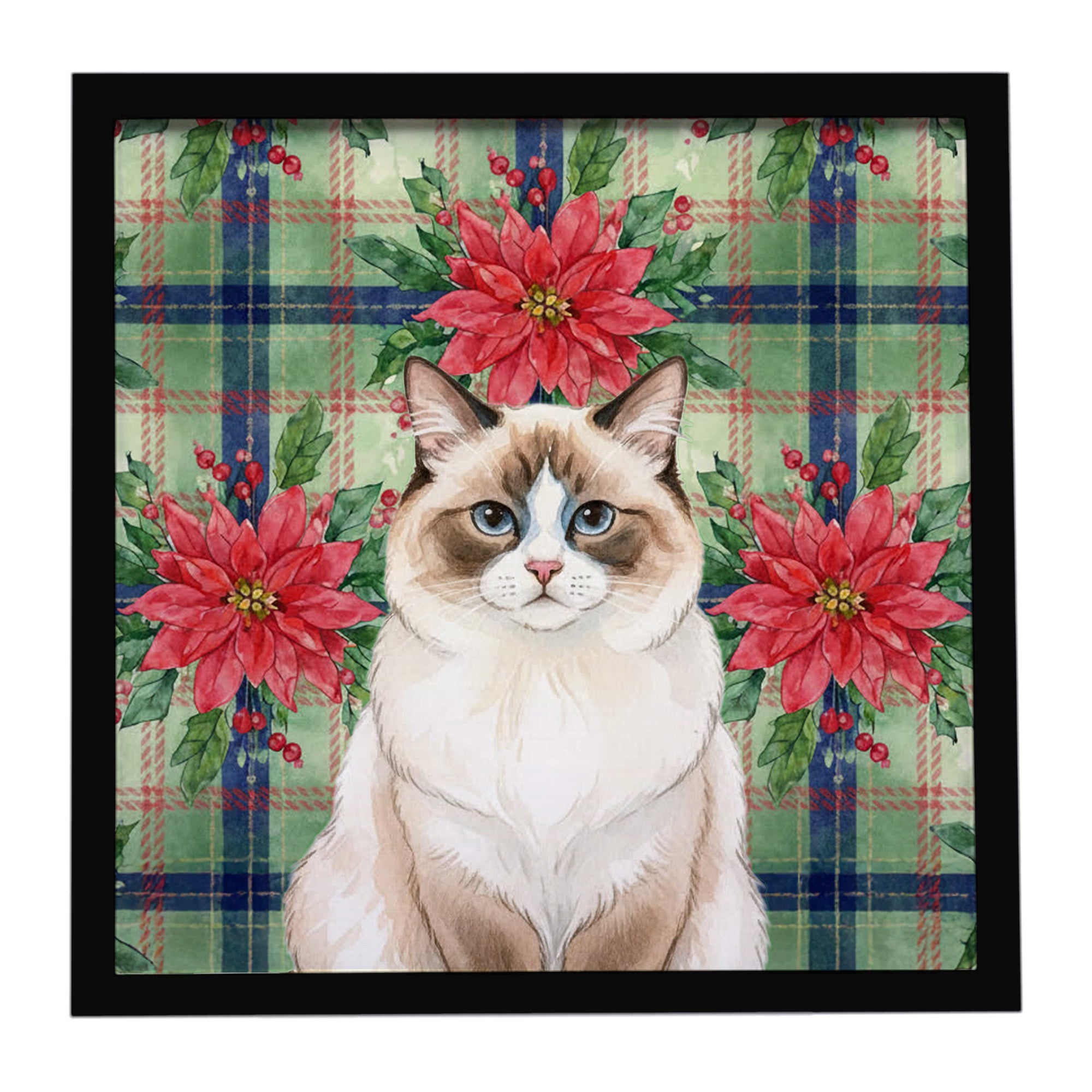 Ragdoll Bicolor Cat with Poinsettias Framed Metal Print Bathroom, Kitchen, Office, Home Decor Wall Art Ready to Hang, Square, 8X8