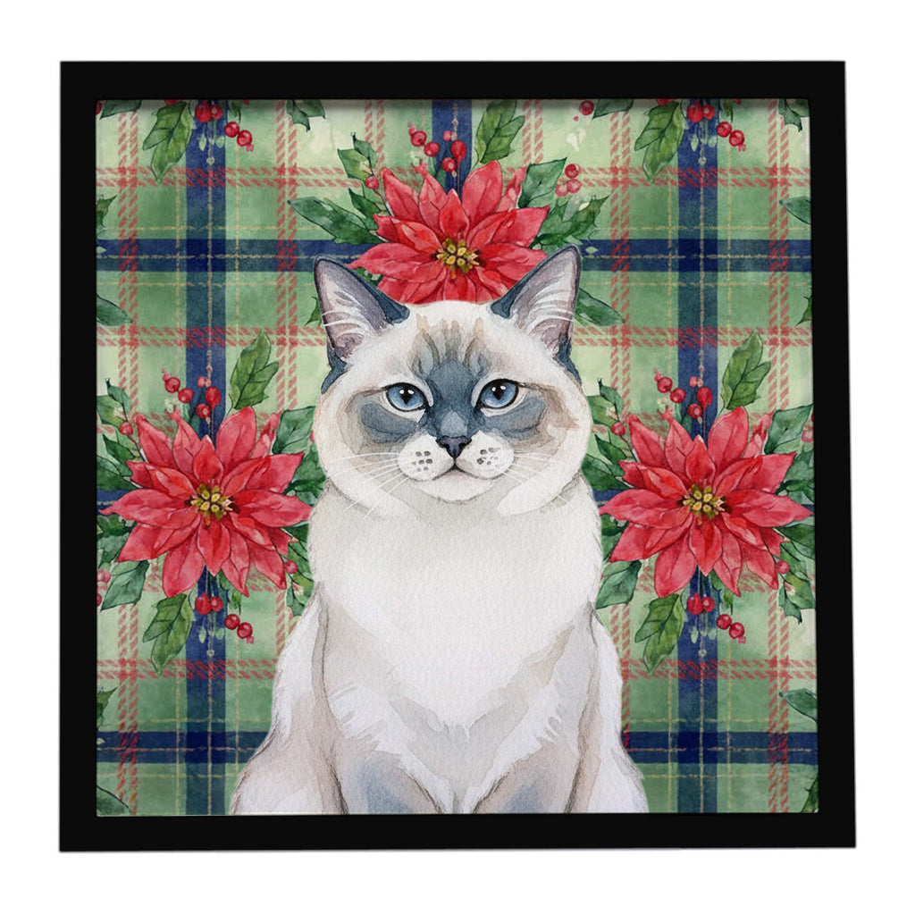 Ragdoll Blue Point Cat with Poinsettias Framed Metal Print Bathroom, Kitchen, Office, Home Decor Wall Art Ready to Hang, Square, 8X8
