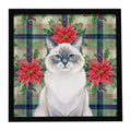 Ragdoll Blue Point Cat with Poinsettias Framed Metal Print Bathroom, Kitchen, Office, Home Decor Wall Art Ready to Hang, Square, 8X8