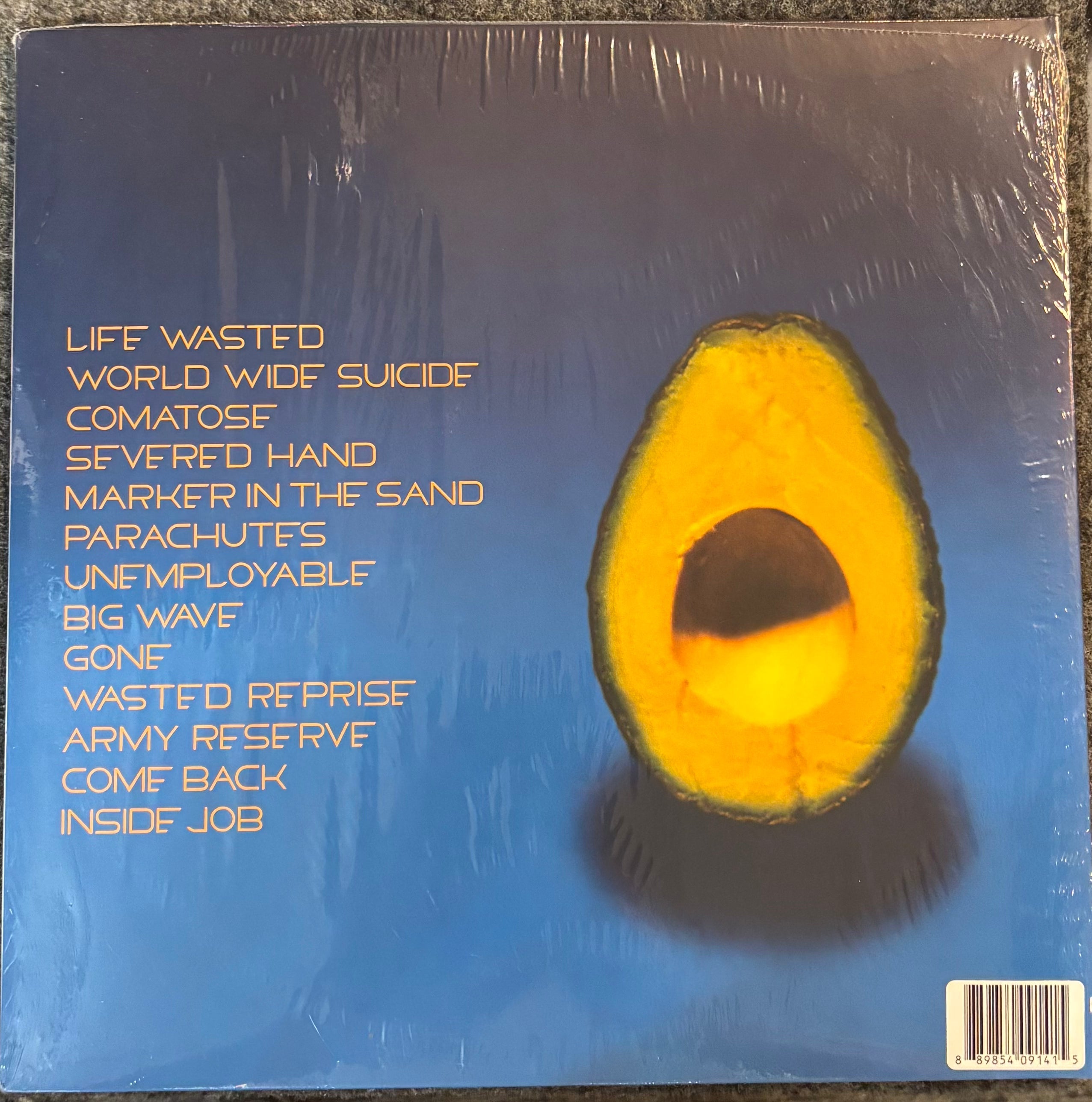 Pearl Jam – Pearl Jam 2x Vinyl LP Record