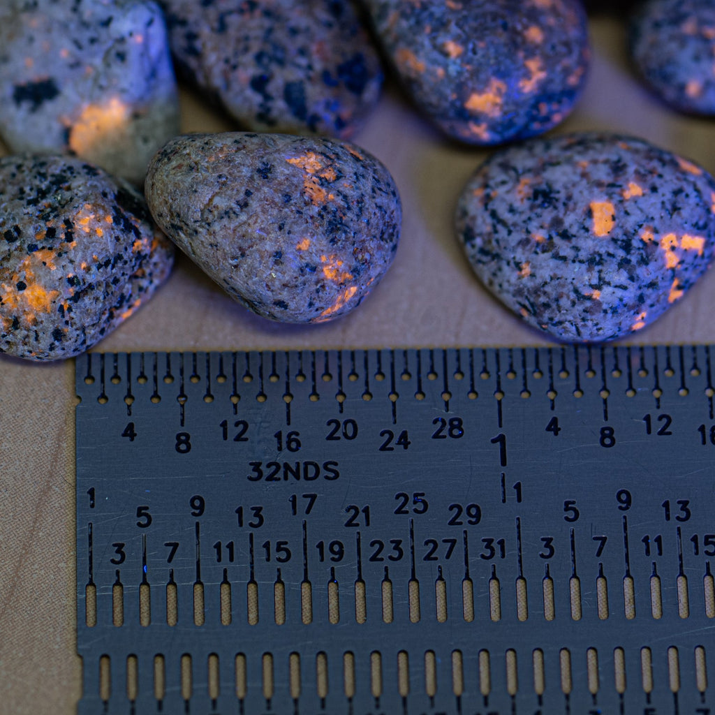Fun-Sized Syenite - UV Glow Rock
