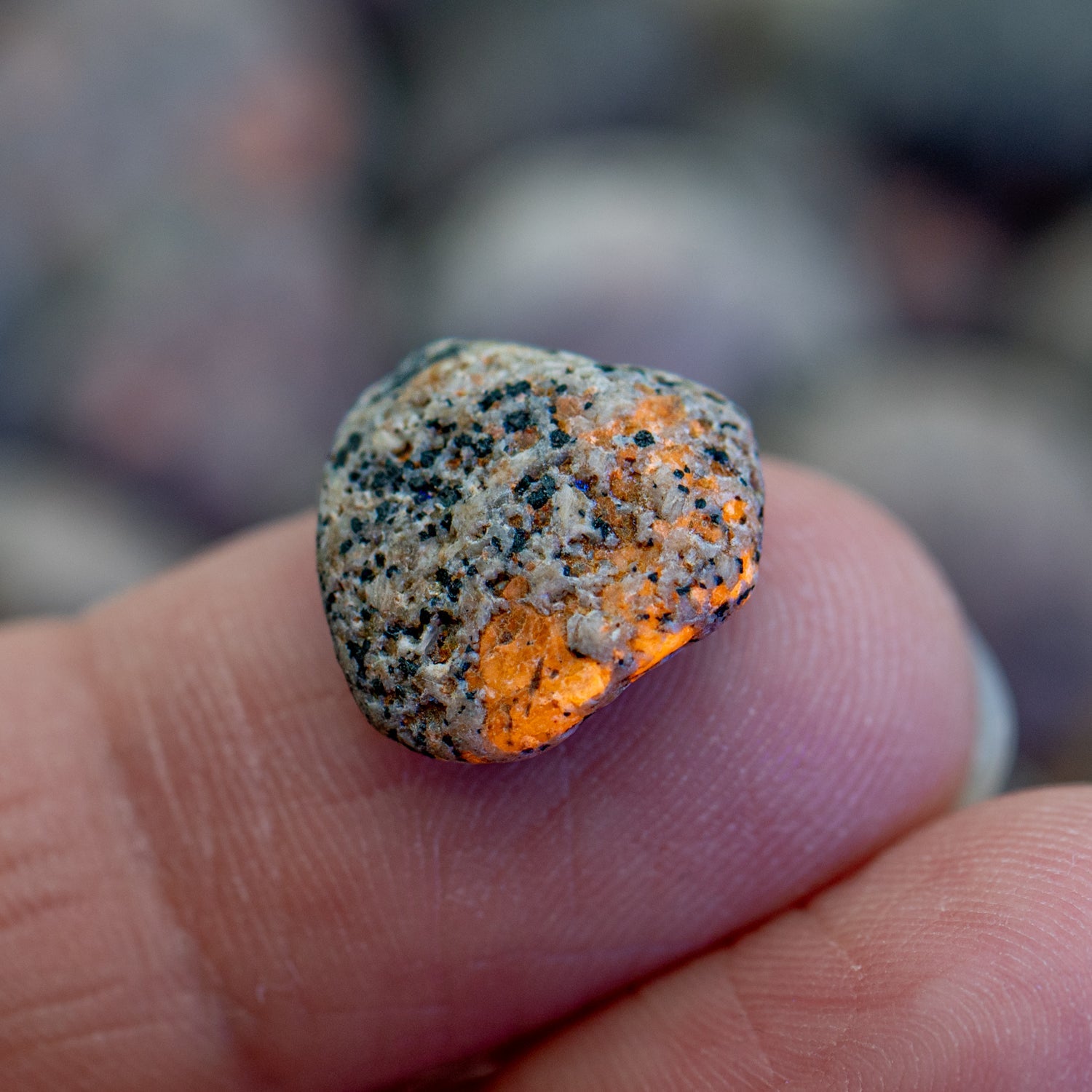 Fun-Sized Syenite - UV Glow Rock