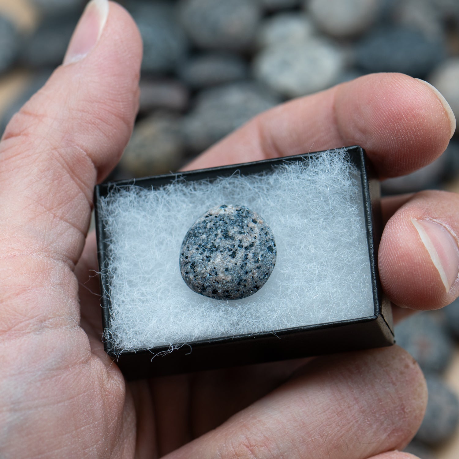 Fun-Sized Syenite - UV Glow Rock