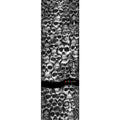 Powell Peralta Color Me Skullz Griptape - 9″x33″
