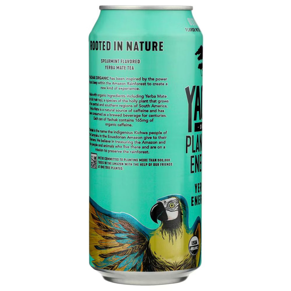 Yachak Yerba Mate, Ultimate Mint, 16 fl oz, Pack of 12