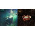Hozier - Unreal Unearth (2LP) & Wasteland Baby!