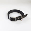 DOG COLLAR,  NYLON - MEDIUM SIZE