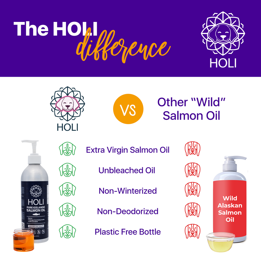 HOLI Icelandic Salmon Oil for Dogs | Extra Virgin
