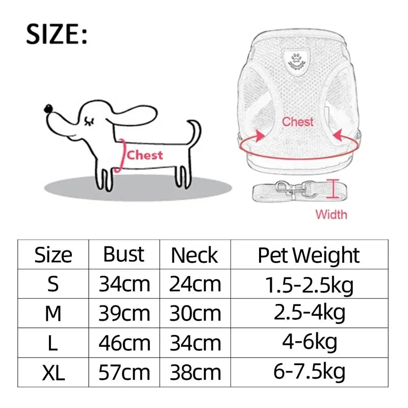 Harness for Small Dogs & Cats.