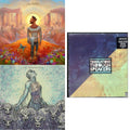 Human Condition (2LP) & Separation & Translations Through Speakers