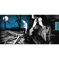 Fear Of The Dawn & Acoustic Recordings 1998-2016 (180G/Gatefold)