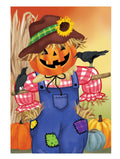 Jack The Scarecrow 2 Sided Garden Flag