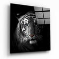 Blue Eyed Tiger Portrait Glass Wall Art