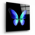 Cobalt Blue And Green Wings Butterfly Glass Wall Art