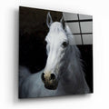 White Stallion Head Portrait Glass Wall Art