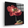 Red Poppy Duo Glass Wall Art