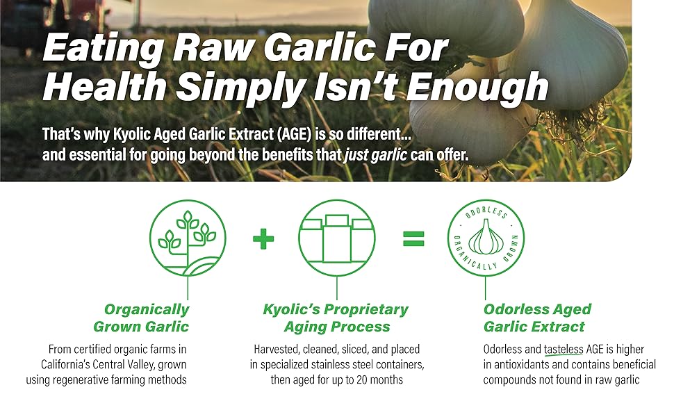 Kyolic Aged Garlic Extract, Formula 101 Stress & Fatigue Relief, 200 Tablets