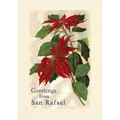 Vintage Lined Notebook Greetings from San Rafael, California - Paperback