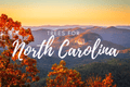 Plant a Tree for Someone in North Carolina - Memorial & Tribute Trees