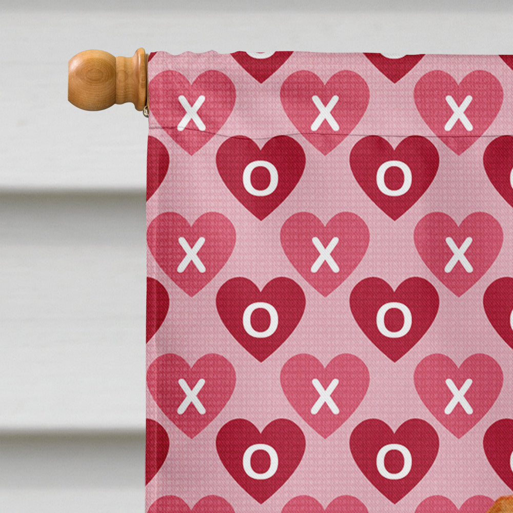 Dachshund Hearts Love and Valentine's Day Portrait House Flag 28x40 Porch Sleeve Pole Decorative Outside Yard Banner Artwork Wall Hanging, Polyester