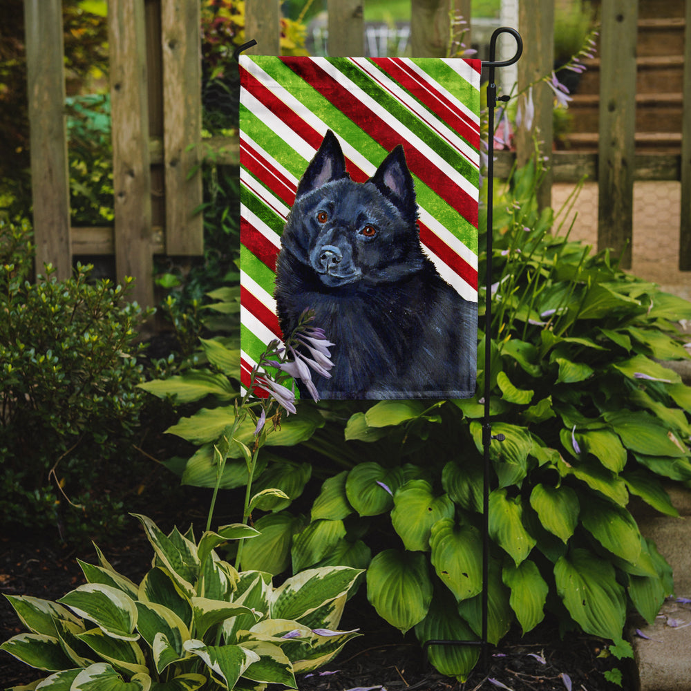 Schipperke Candy Cane Holiday Christmas Garden Flag Mailbox Decorative Yard Banner Outside Patio Artwork for Flower Beds, Garden Size, Multicolor