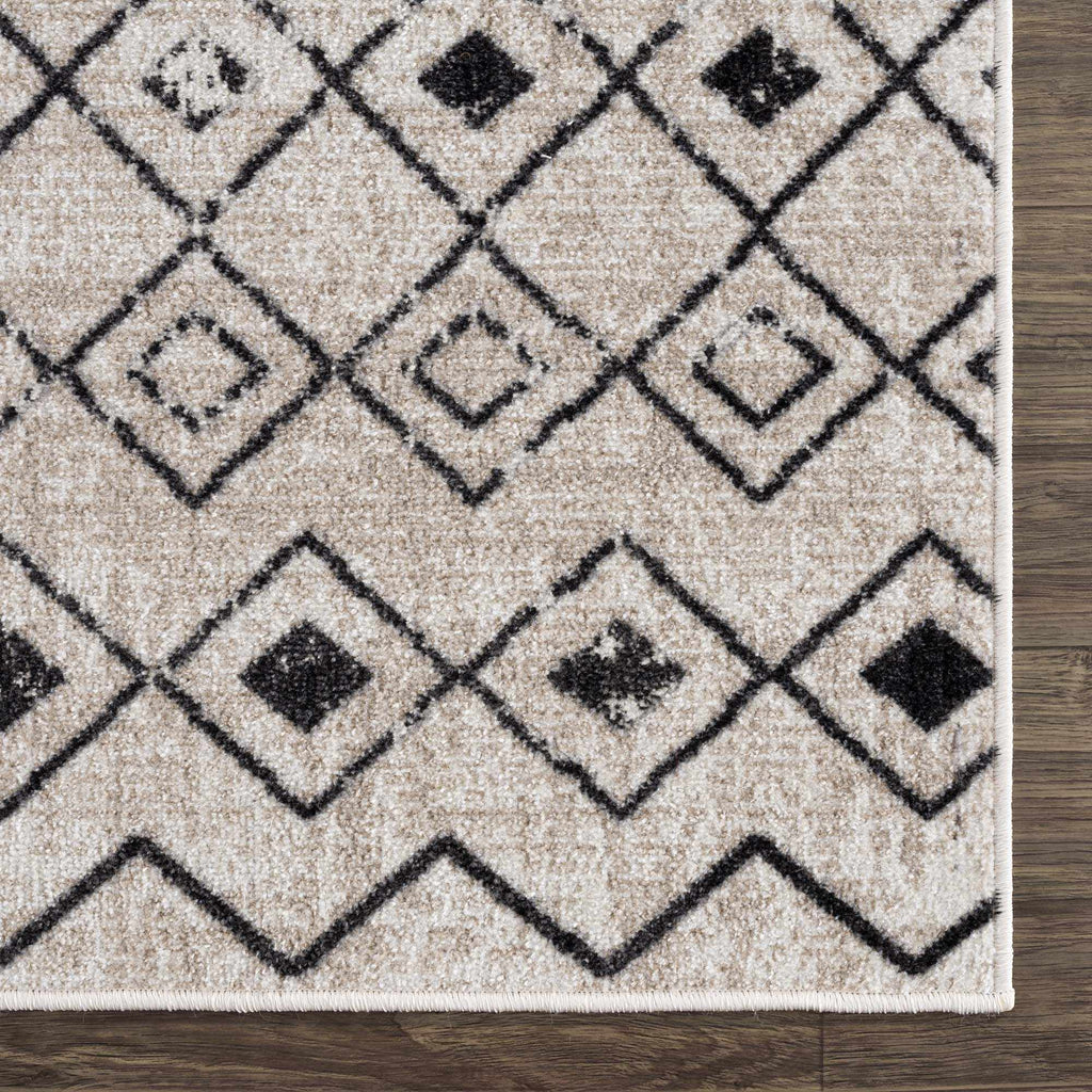 Joppatowne Washable Area Rug - Clearance