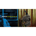 Shades Of Blue (Blue Note Classic Vinyl Series) (2LP) & Low Budget High Fi Music (Color LP Vinyl)
