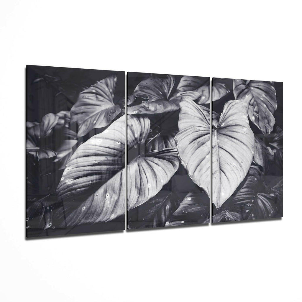 Black White Tropical Leaves Glass Wall Art