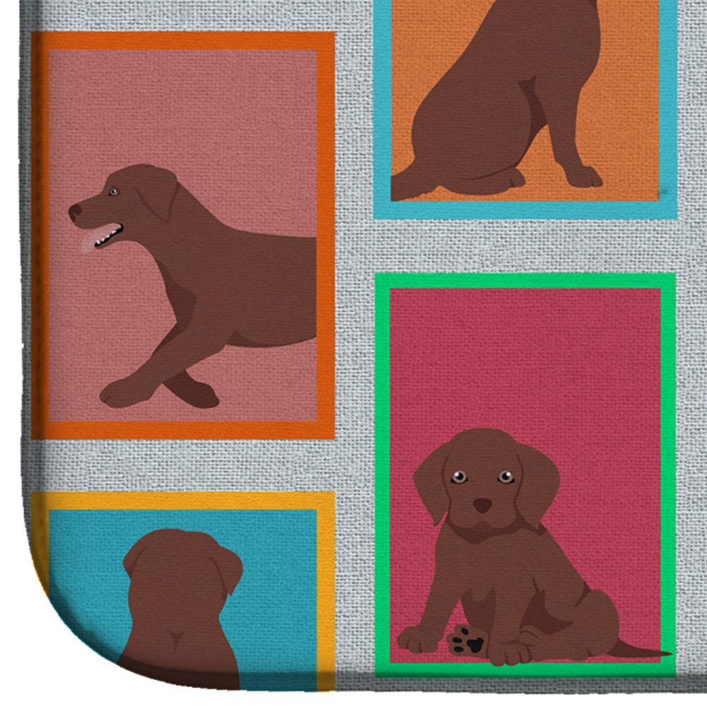 Lots of Chocolate Labrador Retriever Dish Drying Mat Absorbent Dish Drying Mat Pad for Kitchen Counter Dish Drainer Mat for Countertop, 14 x 21", Multicolor