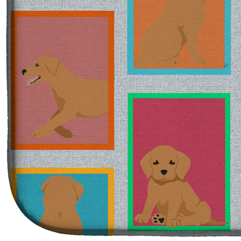 Lots of Red Fox Labrador Retriever Dish Drying Mat Absorbent Dish Drying Mat Pad for Kitchen Counter Dish Drainer Mat for Countertop, 14 x 21", Multicolor
